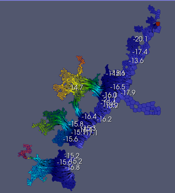项目图示